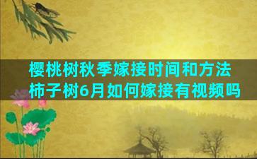 樱桃树秋季嫁接时间和方法 柿子树6月如何嫁接有视频吗